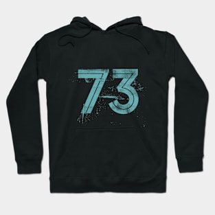 73 Front with 37 Mirror Back Hoodie